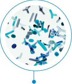 1 (4) Microbiome composition