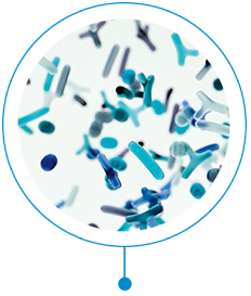 1-4 Microbiome visual