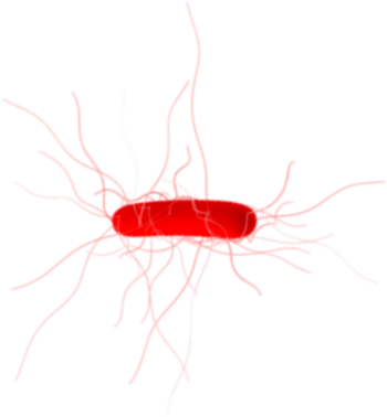 Mortality associated bottom center