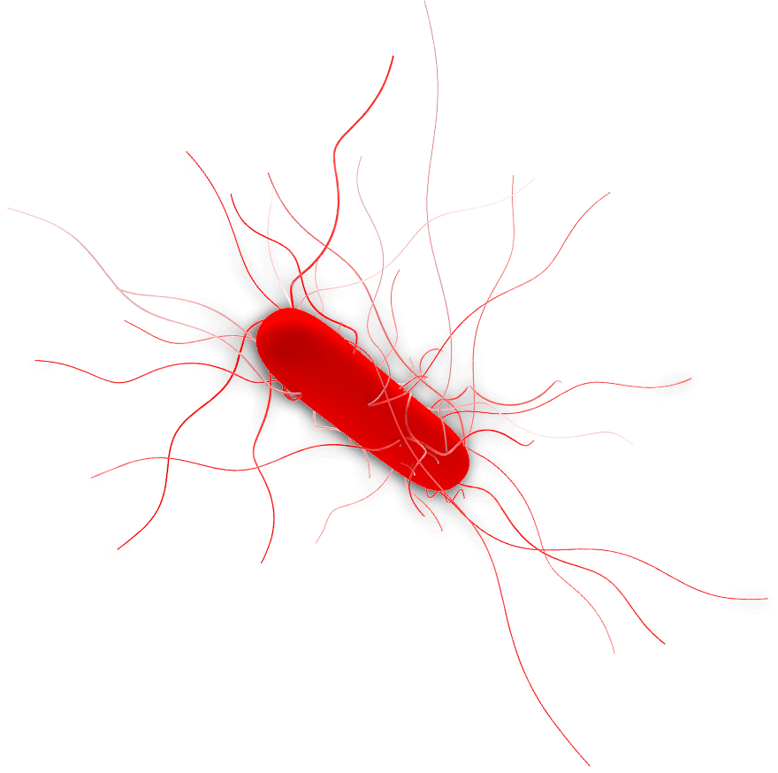 Mortality associated top right