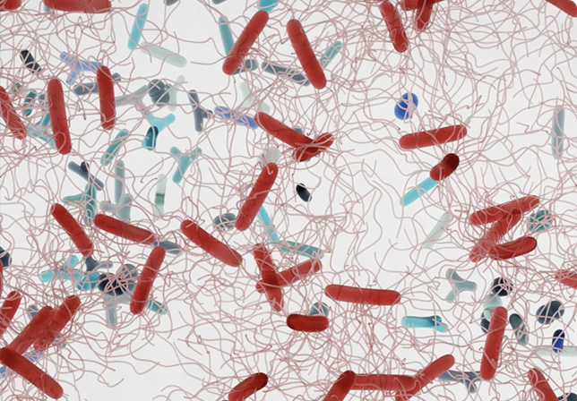 Picture of a microbiome that’s out of balance. C. diff has grown and could make you very sick.